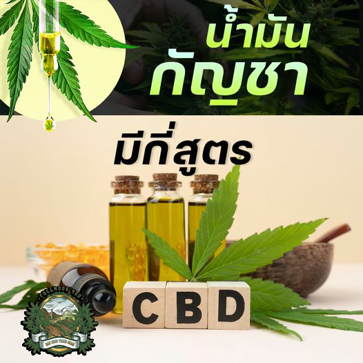 น้ำมันกัญชา มีกี่สูตร